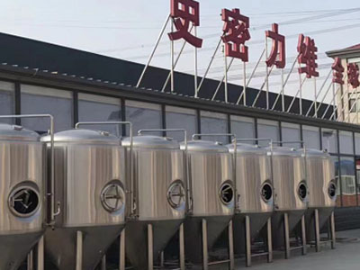 盘龙精酿啤酒设备厂—如何判断精酿啤酒设备的密封件需要更换？